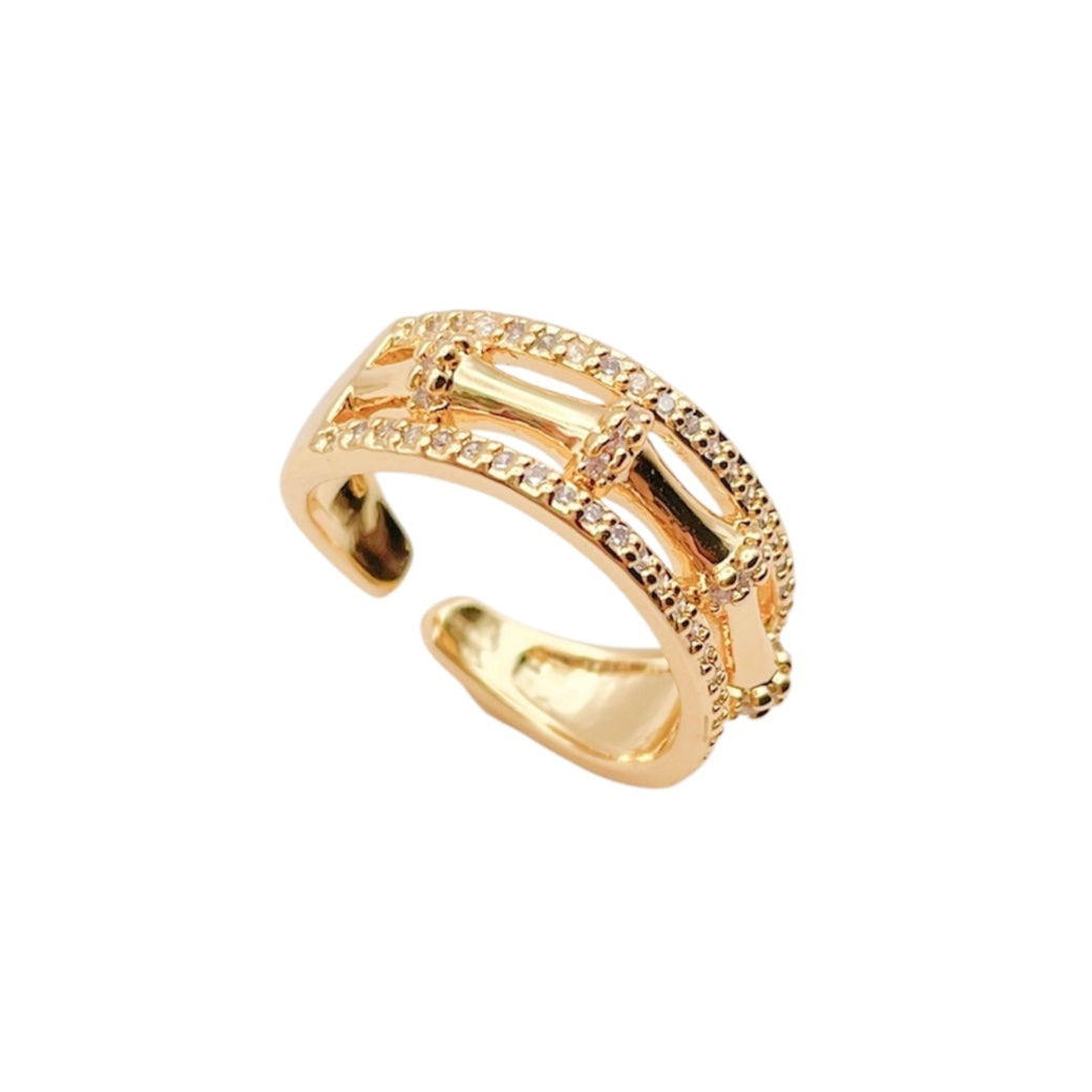 Anillo Guía