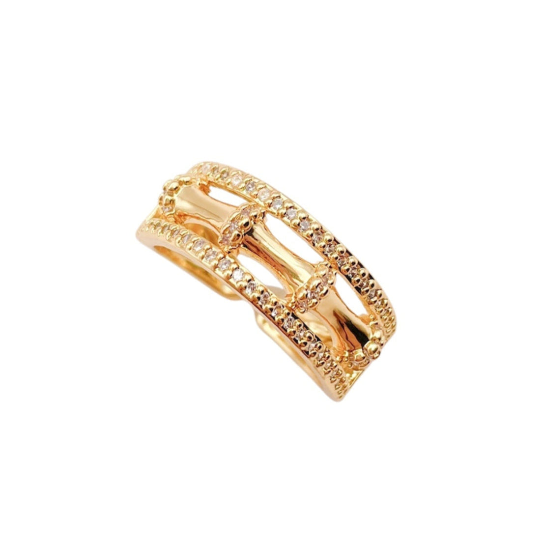 Anillo Guía