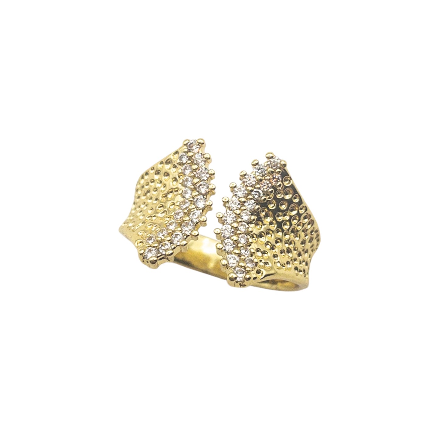 Anillo Planetary