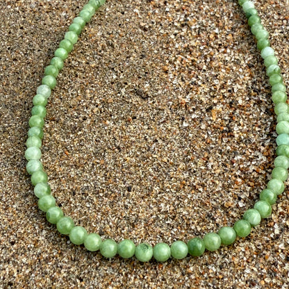 Collar Alga