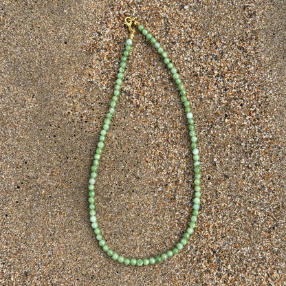 Collar Alga