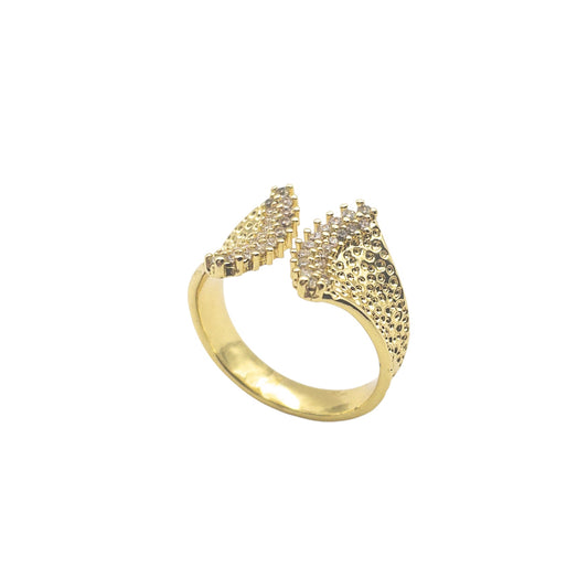 Anillo Planetary