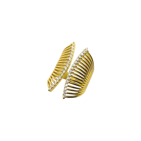 Anillo Possibilities