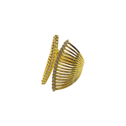 Anillo Possibilities
